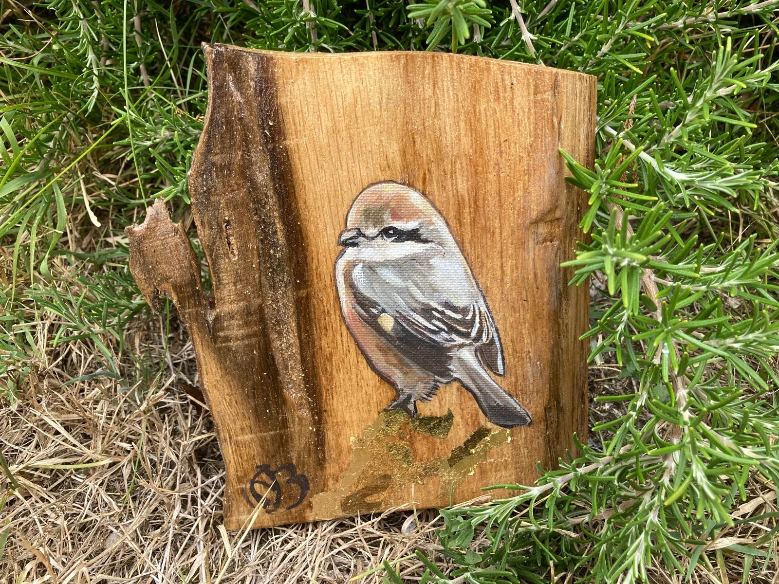 Oiseau 4