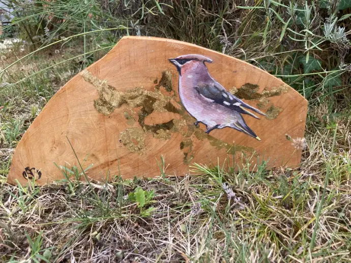 Oiseau 2