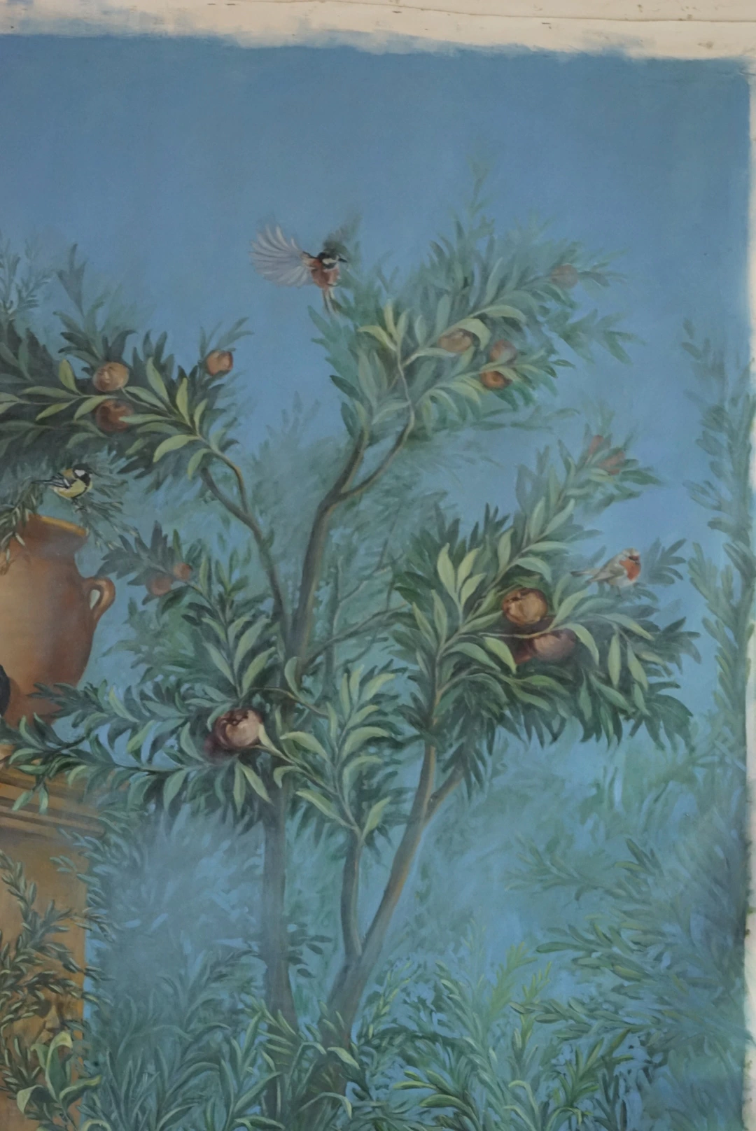 Arbre Villa Livia